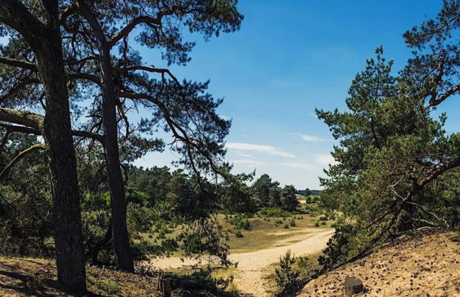 Forest-edge Villa With Sauna - Foto 35