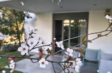 The elegant urban apartment - Foto 6