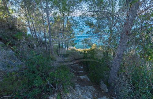 Villa Madonna delle Grazie con accesso privato al mare - Goelba - Foto 54