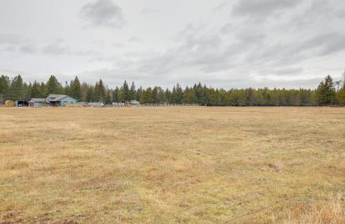 Cozy Couples Retreat 6 Mi to Lake Pend Oreille - Photo 24