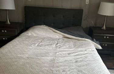 Roomy Oasis DC area pet friendly - Foto 23