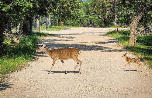 NEW Treehouse at Link Lane 2 Acres w Hot Tub - Foto 7