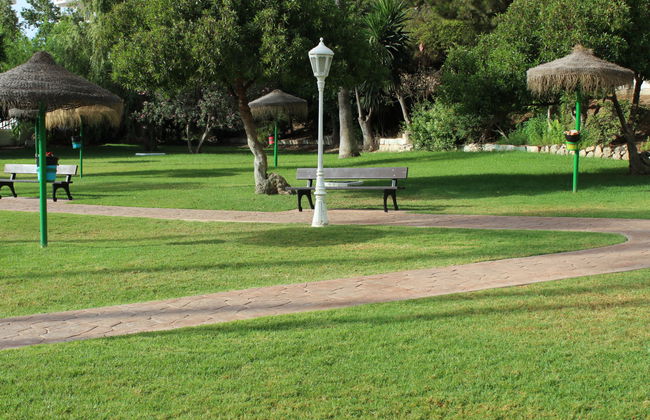 Torrealmadena - Foto 14