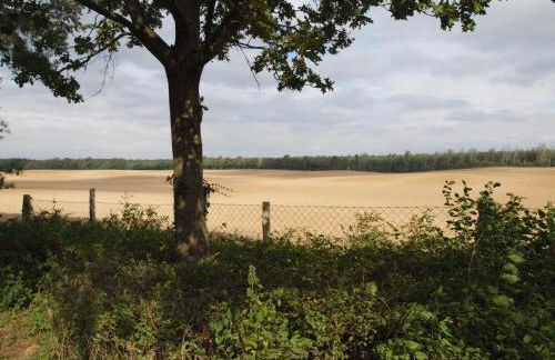 Natur erleben und Ruhe genießen - Foto 20