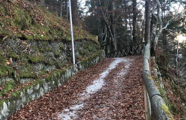 Sogno delle Dolomiti - Photo 71