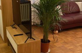 2Schlafzimmer, Wohnküche&Balkon - Foto 10