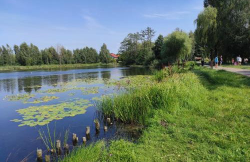 Grand Apartament nad Iławką - Foto 24