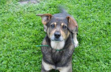 Gospodarstwo Agroturystyczne Dolina Zachwytu - Foto 10