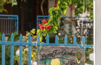 LEMON TREE GARDEN near Mirtos beach - Foto 8