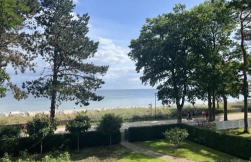 Dünenhaus Garten - Photo 4