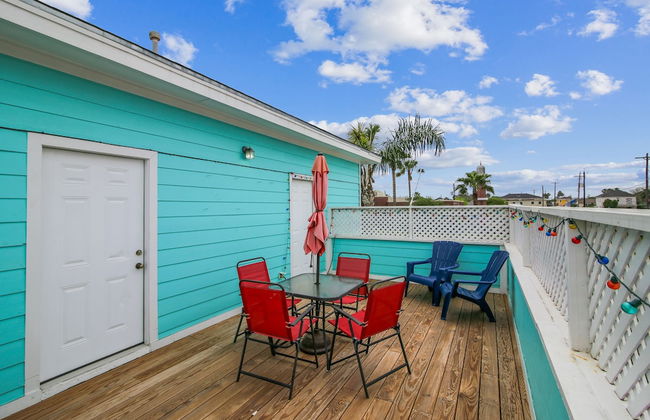 The Turquoise Turtle - Foto 25