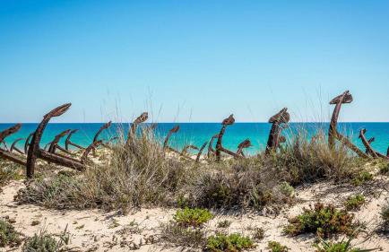 Villa Pedras D'el Rei - Foto 18