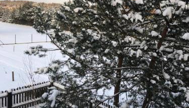 Drewniany Domek z Bali nad Bugiem - Foto 2