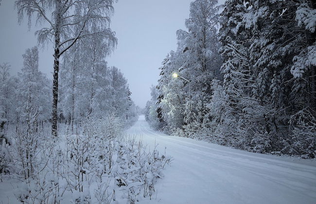 Vildmarks Lodge - Photo 56