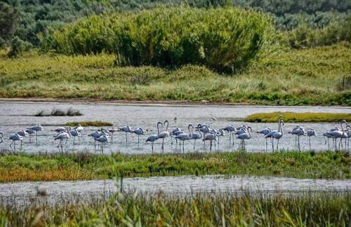 Diamantina’s comfort house - Foto 24