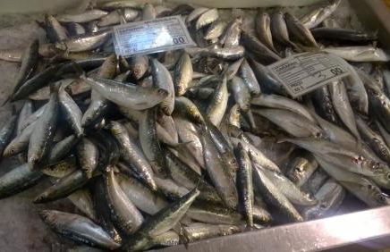 Garden Apartment Quinta do Morgado - Foto 32