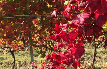 La casa di Noah - Foto 22