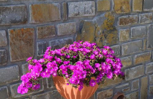 Al Boschetto - Photo 69