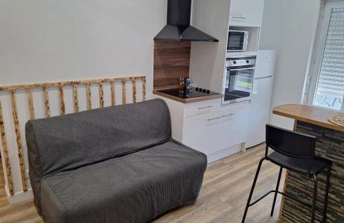 Grand T2 lumineux 2 pers Olivet Avenue Loiret - Photo 10