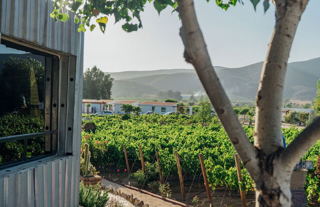 Ecléctico Guadalupe - Foto 25