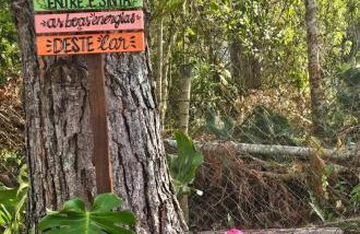 Casa das Hortênsias - Foto 14