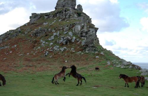 The Old Smithy - Foto 35