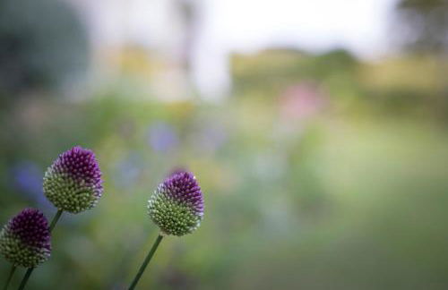 West Cottage, Southlands Farm, Gunnerton - Foto 30