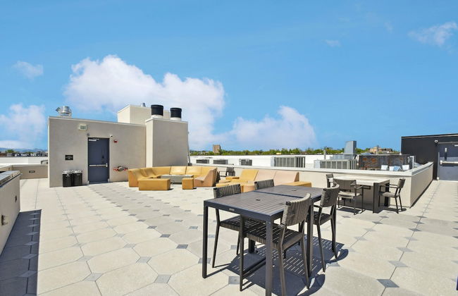 Bold & Elevated | Espadin LoHi - Foto 27