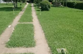 Silver Coast Cottage Raches - Foto 34