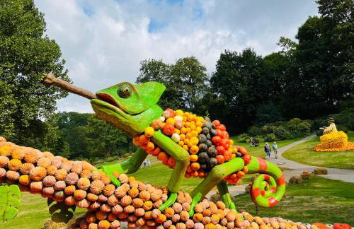 Appartments - Stromberg & Zabergäu - Foto 29