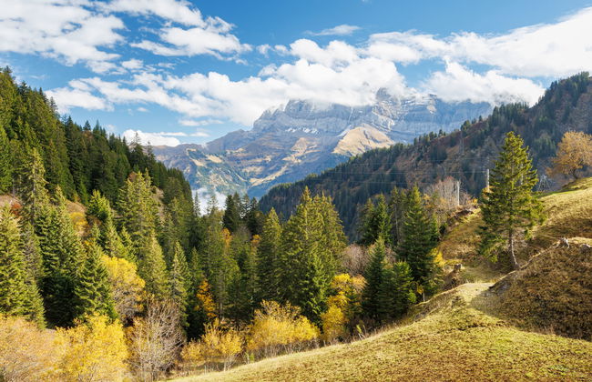 Sundance 10 - Foto 23