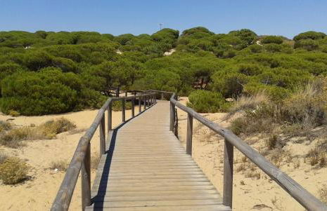 Villa Miranda - Foto 67