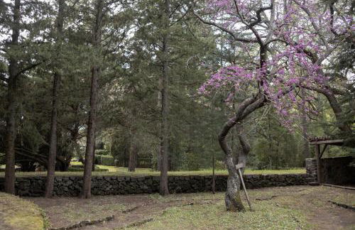 Parco Statella - Foto 57