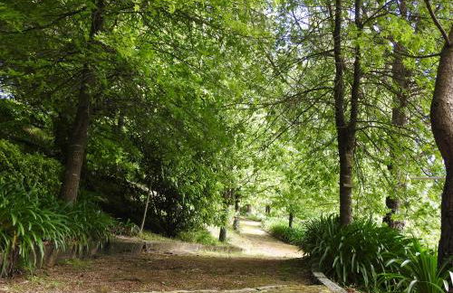 Quinta de S. Vicente 317 - Foto 71