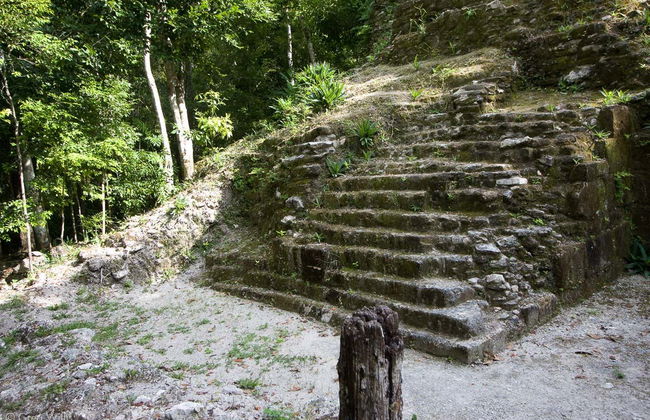 El Mirador & El Tintal: 5 Day Hiking Tour - Foto 2