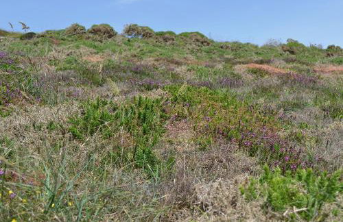 2 The Courtyard - Foto 28