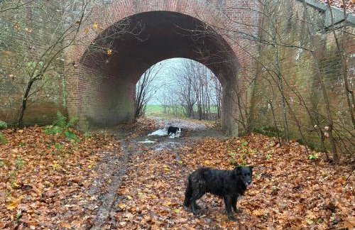 Chata Smarzewo - Foto 11