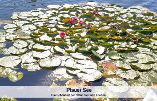 Wohlfühlparadies Max, Stuer - Strandnah am Plauer See mit Wlan und Parkplatz - Foto 41