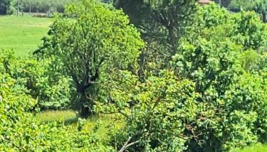 Casa Gli Ulivi - Foto 3