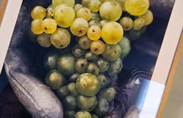 Le gîte de Pierrot - Foto 3