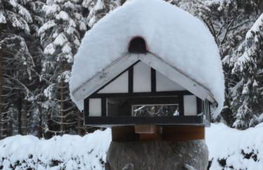 Ferienwohnungen Haus Zeier - Foto 61
