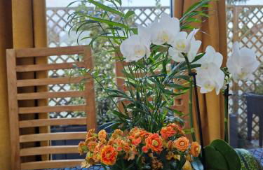 Balisier Maison Jacuzzi luxe privatif à 15min de Disneyland Paris - Foto 21