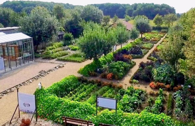 Pet Friendly & Peaceful Stay - Foto 35