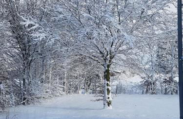 Ferienwohnung Schneifelsicht - Foto 14