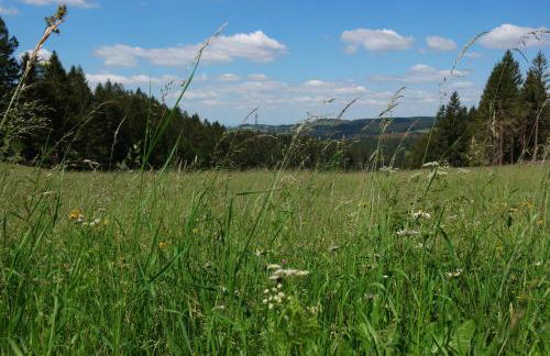 Ferienwohnung Werraquell Hütte - Foto 16