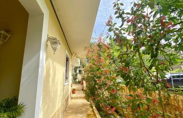 Memories 2 Elegant house near Corfu town! - Photo 41