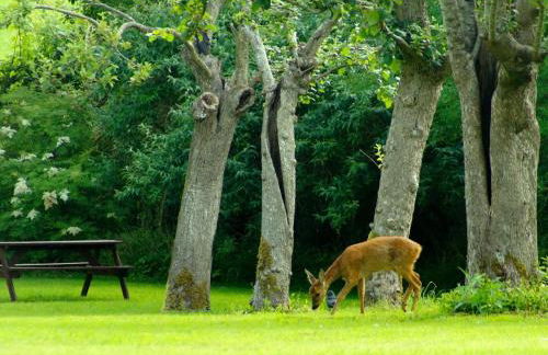 1 Bed in Wedmore oc-51341 - Foto 18