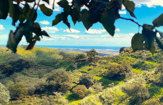 Villa in Malaga, Private Pool and sea View - Foto 38