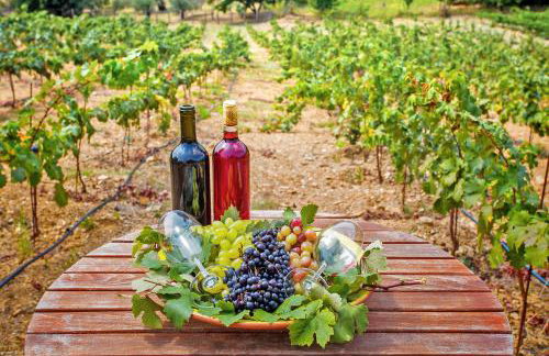 Villa Siraino - Ktima Skopelos - Foto 53