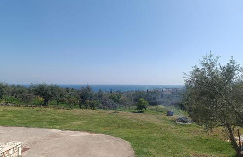 Blue & Green - Foto 32